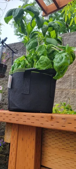 Macetas de cultivo de todos los tamaños Macetas de tela no tejida negra de 1 galón Macetas de vivero de tela de fieltro no recubiertas para plantas de jardín